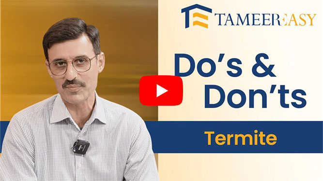 Termite Control Treatment - Do's and Don'ts - TameerEasy