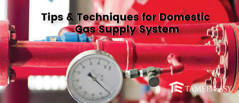 Domestic Gas Supply System